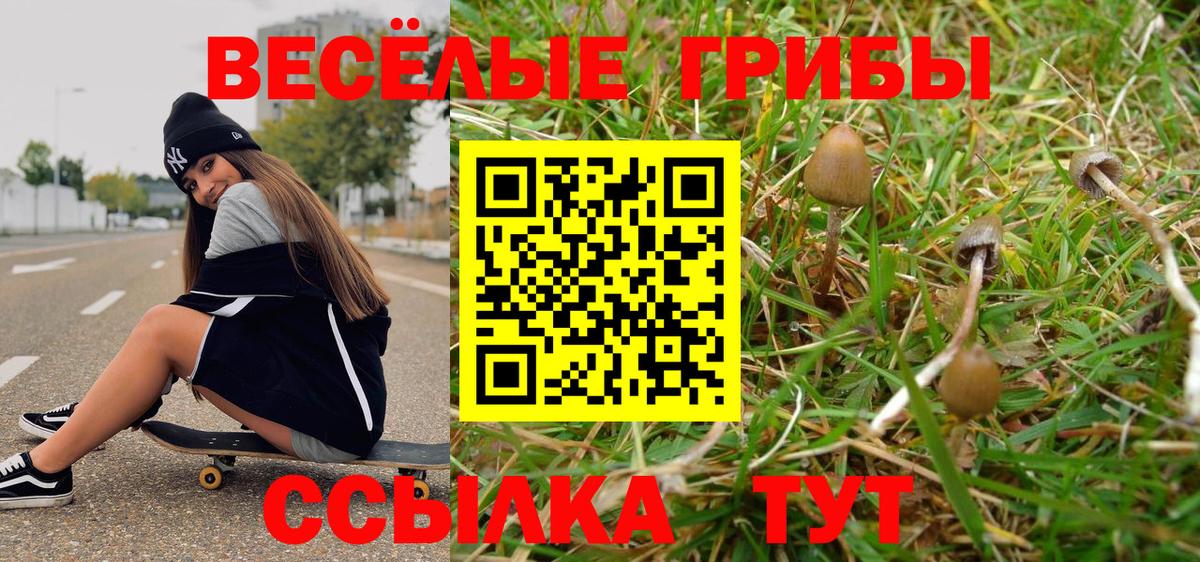 Псилоцибиновые грибы ЛСД  Вход с VPN  Волжск 